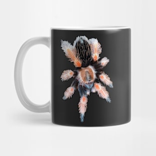 Brachypelma Tarantula Spider Sticker Magnet Mug